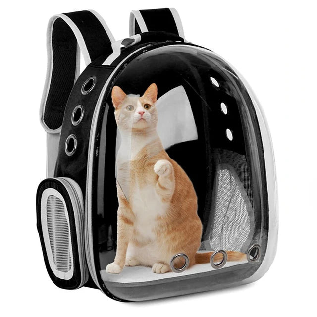 Sacs De Transport Transparent Pour Animaux