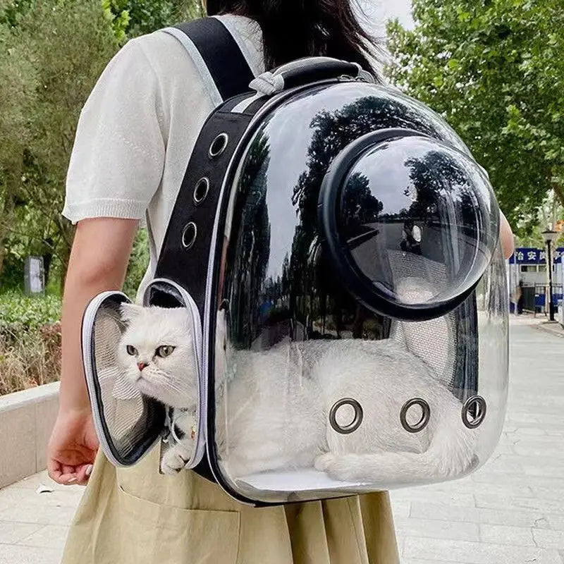 Sacs De Transport Transparent Pour Animaux
