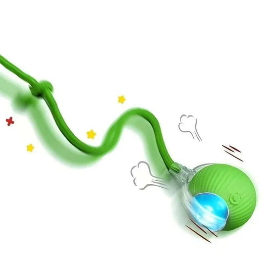 Balles De Jeux Pour Animaux