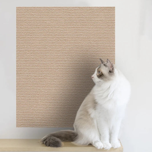 Griffoirs Simple Pour Chat